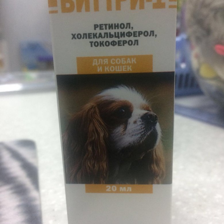 Виттри 1 инструкция. Виттри 1 для собак и кошек. Капли Виттри 1 для кошек. Капли Виттри для собак. Витамины для кошек Виттри-1
