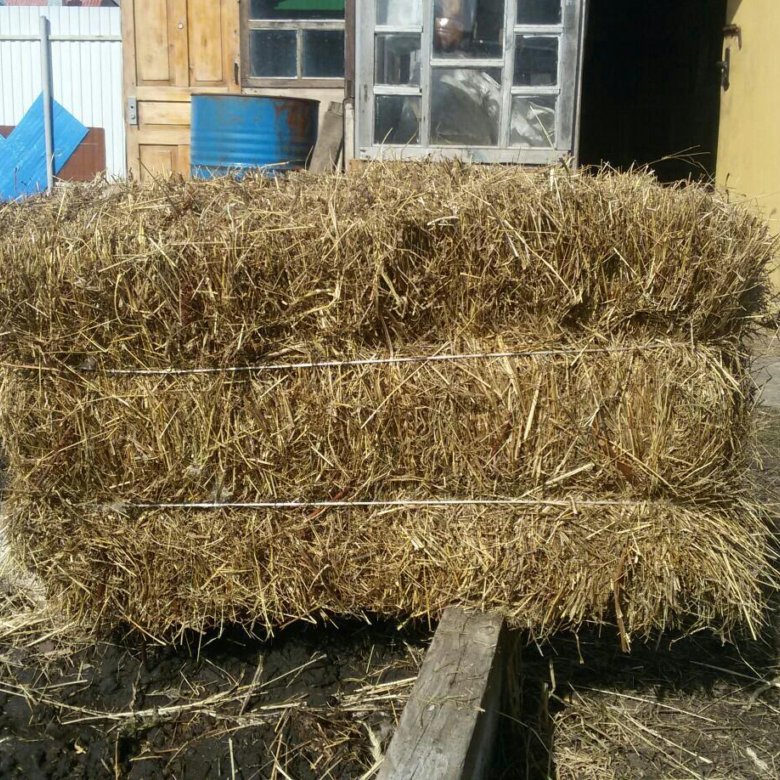 Магазин Сено В Москве Рядом