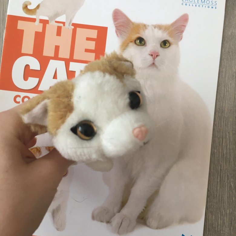 Cat collection. Журналы с игрушечными кошками. Журнал с кошками игрушками. The Cat collection игрушки. Журнал the Cat collection.