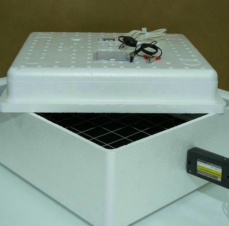 Терморегулятор для инкубатора несушка. Инкубатор на 35 яиц. Bruder инкубатор. Инкубатор иб2нб. Инкубатор на 35 яиц.