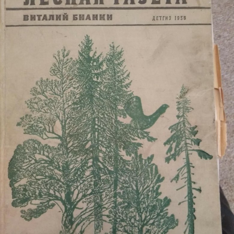 Лесная газета аудиокнига. Лесная газета. Лесная газета рисунок.