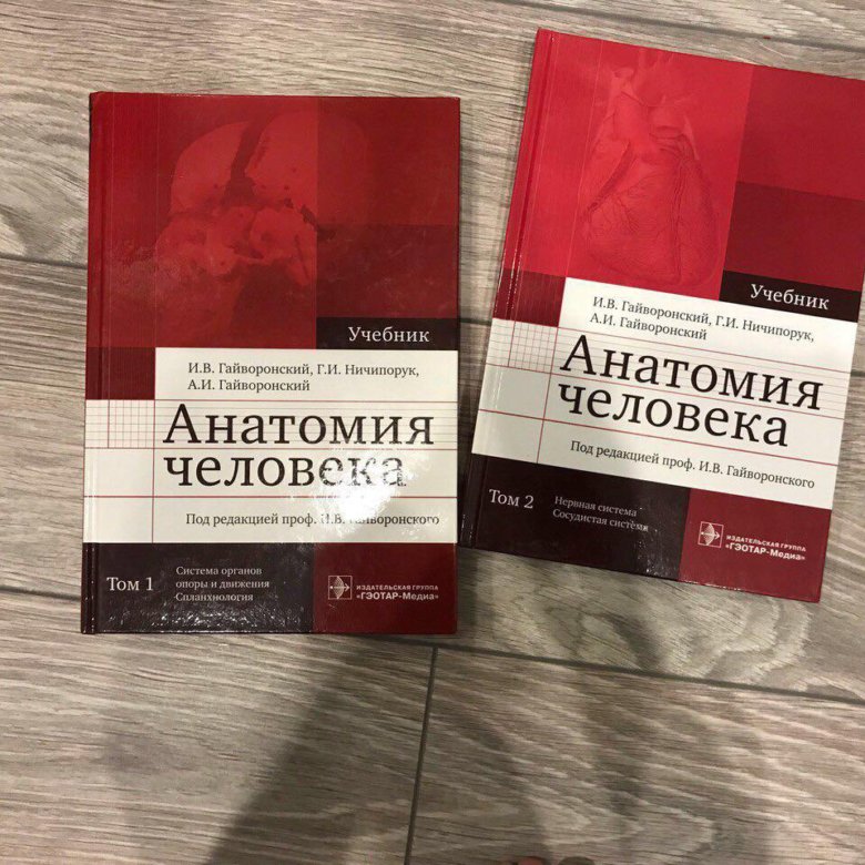 Анатомия в 2 томах. Гайворонский анатомия человека том 2. Учебник по анатомии Гайворонский. Гайворонский анатомия учебник. Учебник по анатомии Гайворонский Ничипорук.