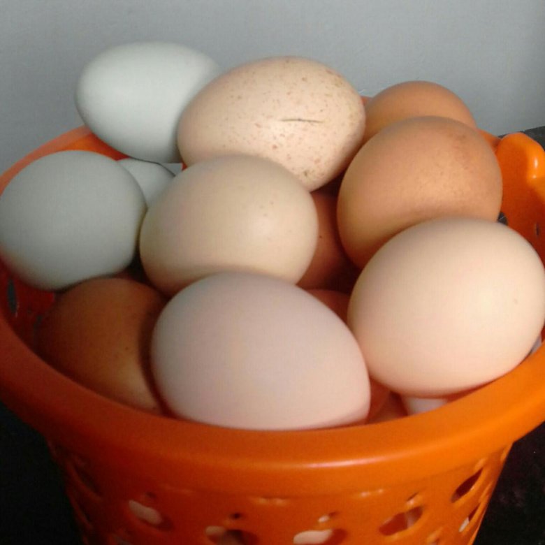 Купить яйцо в белгородской области. Яйцо куриное. Яйцо домашнее. Домашние куриные яйца. Яйца кур.