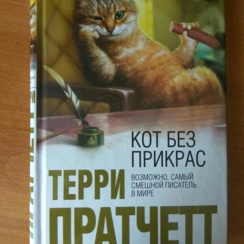 Терри Пратчетт кот без прикрас. Терри Пратчетт книга про кота. Кот без прикрас книга. Кот без прикрас Терри Пратчетт книга.