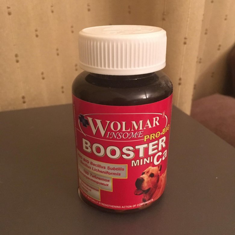 Vitamin booster. Витамины Booster для собак. Витамины бустер для щенков. Витамины Booster Mini CA.