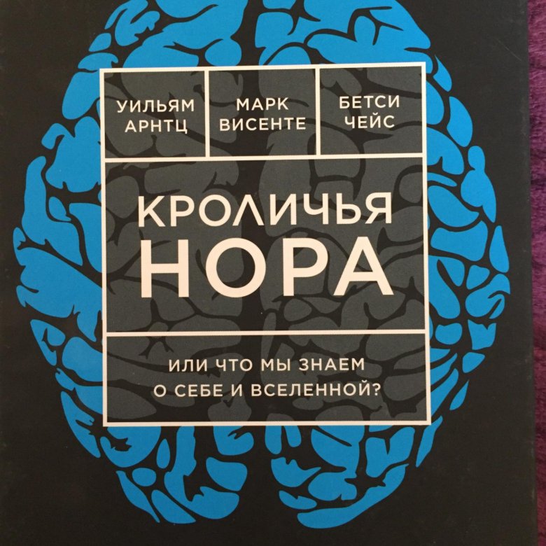 Новые книги норы