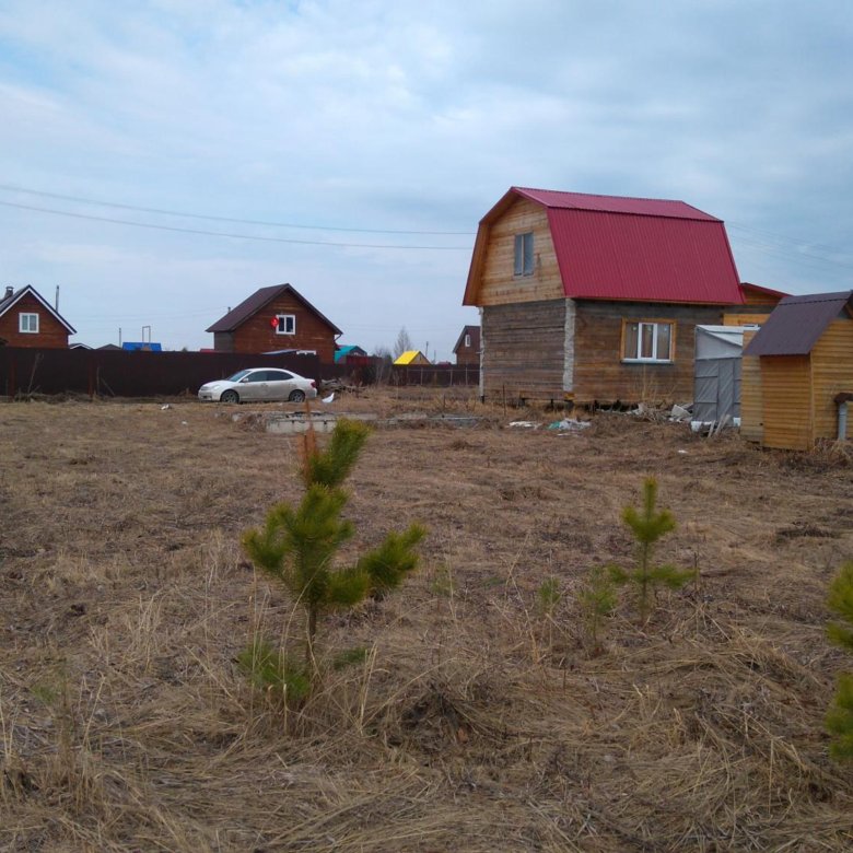 Ижс снт днп разница. СНТ электрон Новосибирск Рыбачий сайт. НСТ электрон Рыбачий Колыванский район. ЛПХ И ИЖС.