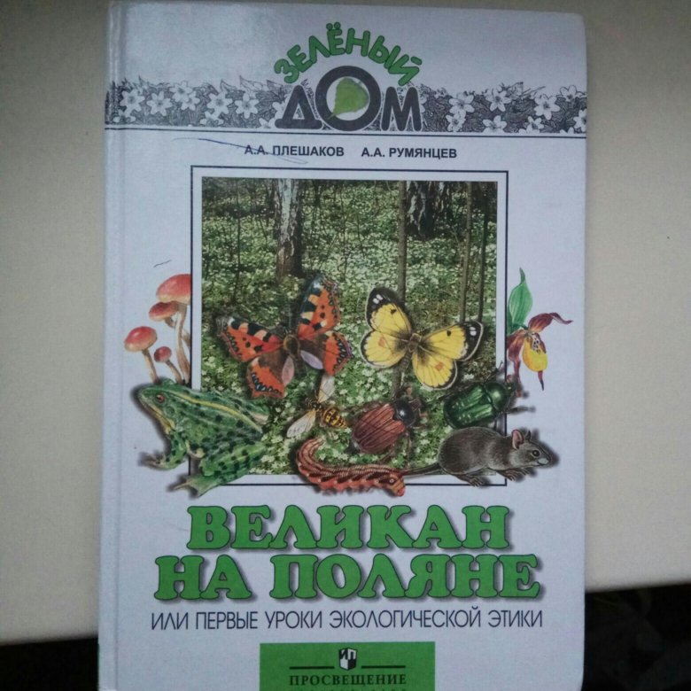 Прочитать книгу великан на поляне рассказ. Книжка великан на Поляне. Плешаков великан на Поляне. Великан на Поляне окружающий мир. Великан на Поляне 2 класс окружающий мир.