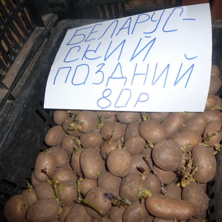 Магазин Семена Картофель