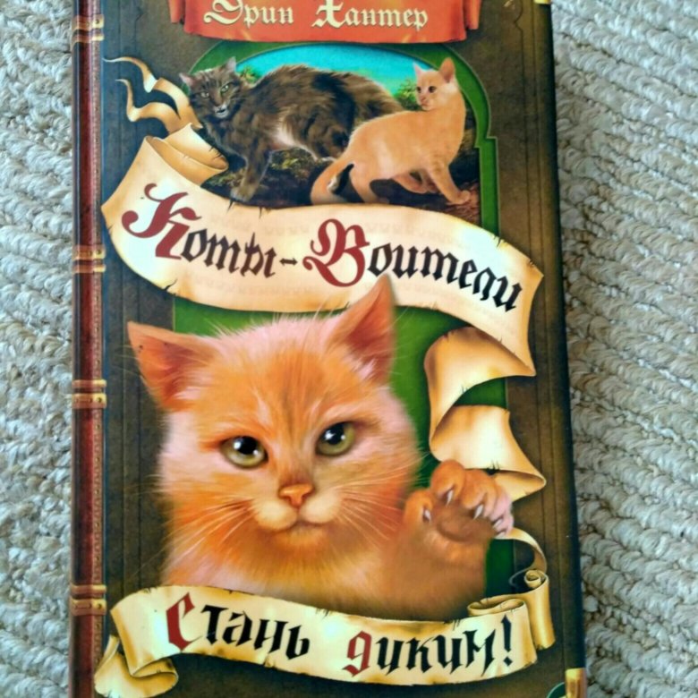 Аудиокнига стань диким. Стань диким! Эрин Хантер книга. Эрин Хантер Стань диким огонь и лед. Огонь и лёд Эрин Хантер книга. Коты Воители Золотая коллекция Стань диким и огонь и лед.