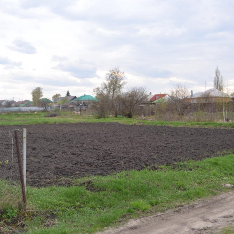 Александровка воронежская область пруды. Погода александровка новоусманский. Погода александровка новоусманский. Погода александровка новоусманский. Погода александровка новоусманский.