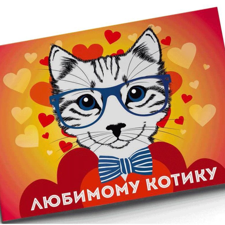 Открытки любимому котику