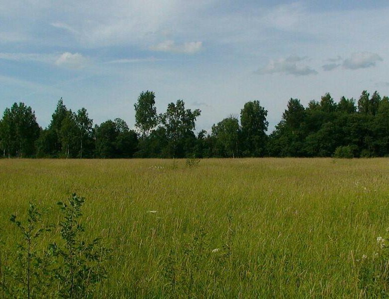 Участки ижс в лесу. Грибово Московская область.