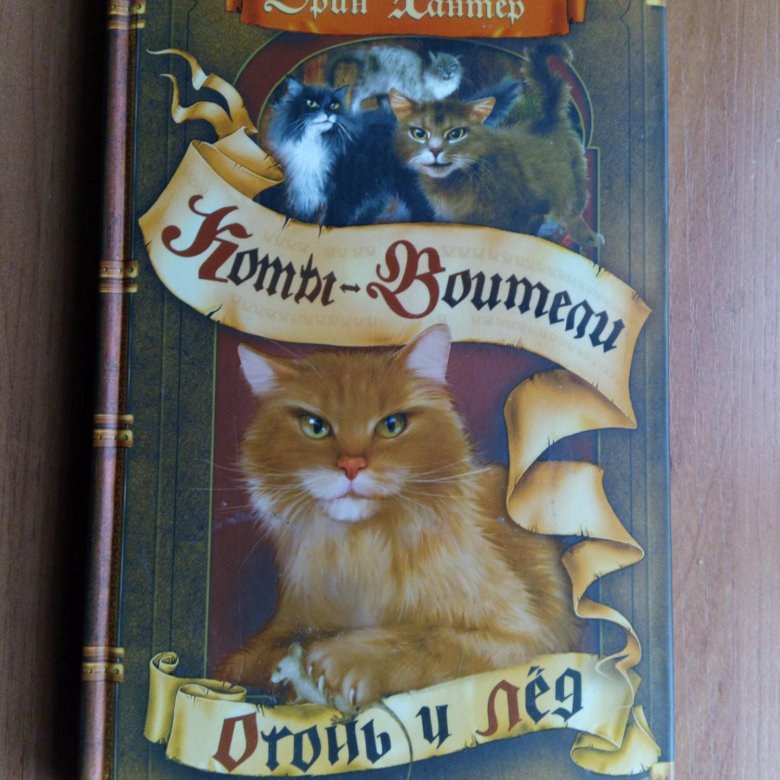 Аудиокнига стань диким. Хантер Эрин "огонь и лёд". Эрин Хантер коты Воители огонь и лёд. Коты Воители книга огонь и лед. Эрин Хантер Стань диким огонь и лед.