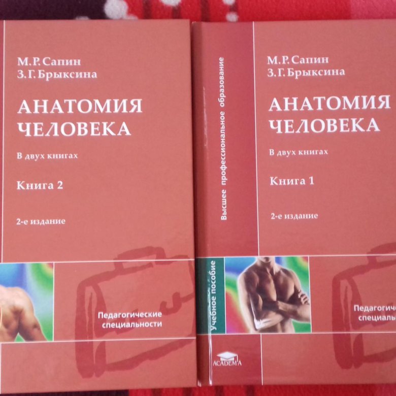 Сапин том 2 читать. Сапин анатомия брыксина учебник. книга сапина. сапин 1 том. анатомия человека сапин и брыксина книга 2.