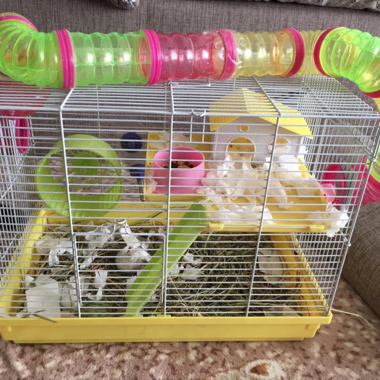 Вещи для хомяка джунгарика. Что можно положить хомякам. Наполнение для клетки хомяка. Наполнитель для джунгарского хомяка. Домик для хомяка.