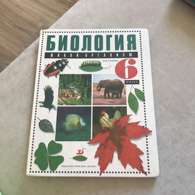 Биология 6. Биология Сонин. Биология 6 класс Сонин. 6икласс биология Сонин. Учебник по биологии 6 класс Сонин.