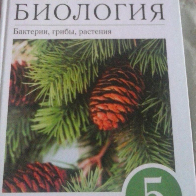 Пасечник биология 5. Биология 5 класс Пасечник. Пасечник биология 5 класс Дрофа. 5кл биология Пасечник учебник. Пасечник биология Дрофа 2021.