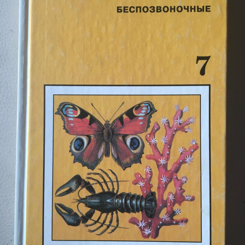 Зоология беспозвоночных. Дольник Козлов Зоология 7. Биология 7 8 класс Быховский Козлова. Зоология 7-8 класс Козлова.