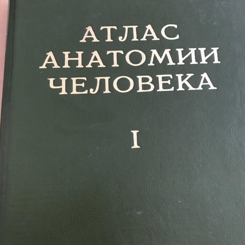 Атлас анатомии синельников 3. Синельников 1 tom. атлас анатомии человека синельников. атлас синельникова анатомия 1 том. атлас по анатомии человека синельников.