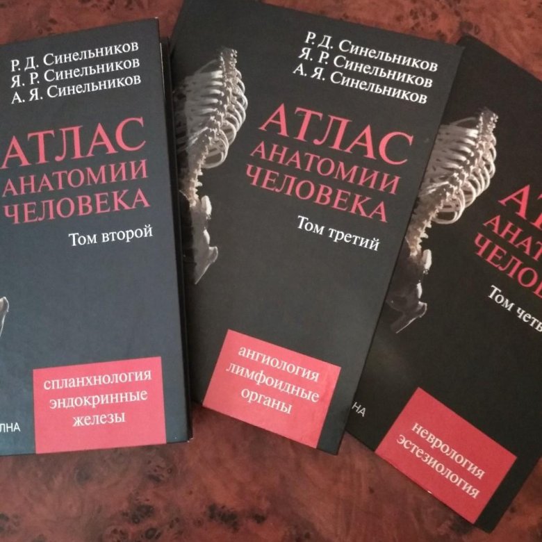 Учебник синельникова по анатомии. Анатомия Синельников 1 том. Атлас анатомии человека р.д Синельникова в 4 томах. Синельников анатомия. Синельников 4 том.