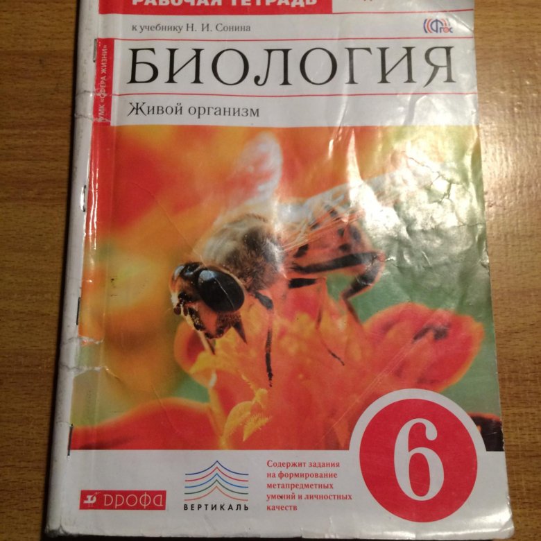 Рабочая тетрадь по биологии сонин. Рабочая тетрадь по биологии 6 Сонин. Биология 6 кл рабочая тетрадь Сонин. Тетрадь биология 6 кл Сонин. Биология, 6 класс, живой организм, Сонин н.и., Сонина в.и., 2014..