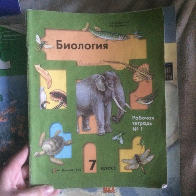 Тетрадь по биологии 7 класс. Рабочая тетрадь по биологии 7 Константинов Бабенко Кучменко. Биология 7 класс рабочая тетрадь. Биология рабочая тетрадь 7 класс Бабенко.