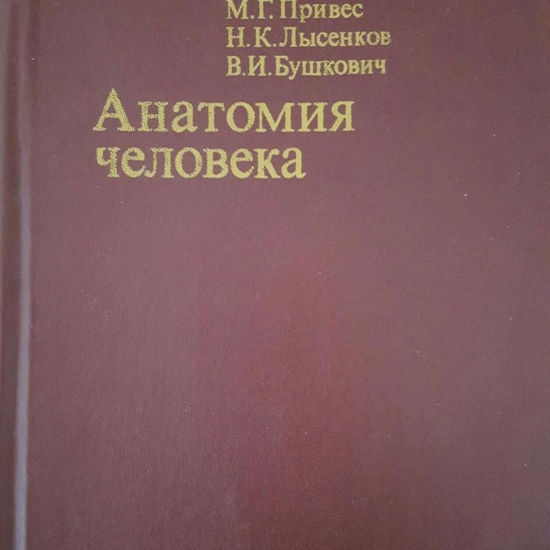 Привес анатомия. Анатомия человека | привес Михаил Григорьевич. Анатомия человека привес Лысенков Бушкович. 1. М.Г. привес. Анатомия человека. Анатомия человека 1974 привес.