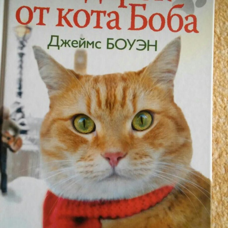 Книга про боба