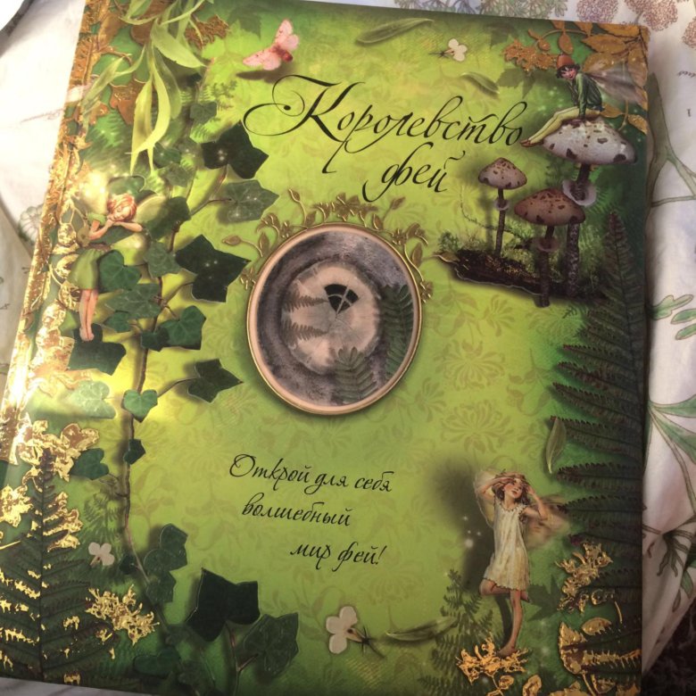 Королевство книга. Королевство фей книга Махаон. Книга Фея. Книга Лесные феи. Интерактивная книга про фей.