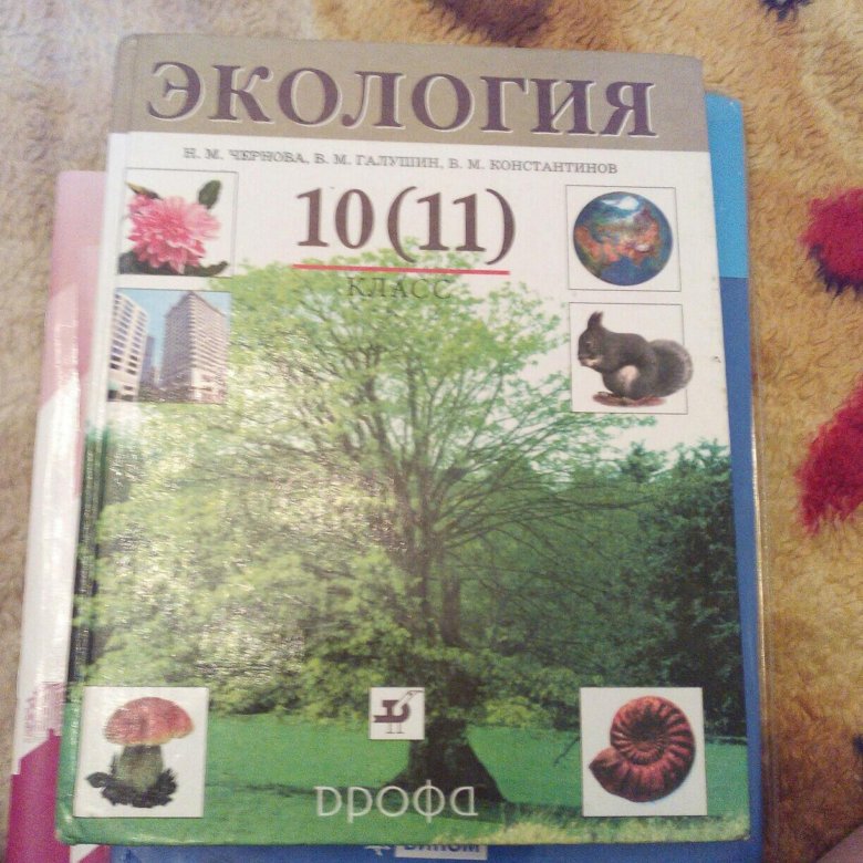 Экология 10 предложений. Учебник по экологии 10-11 класс. Экология 10 класс учебник. Экология учебник школьный. Учебник по экологии Чернова 10-11.