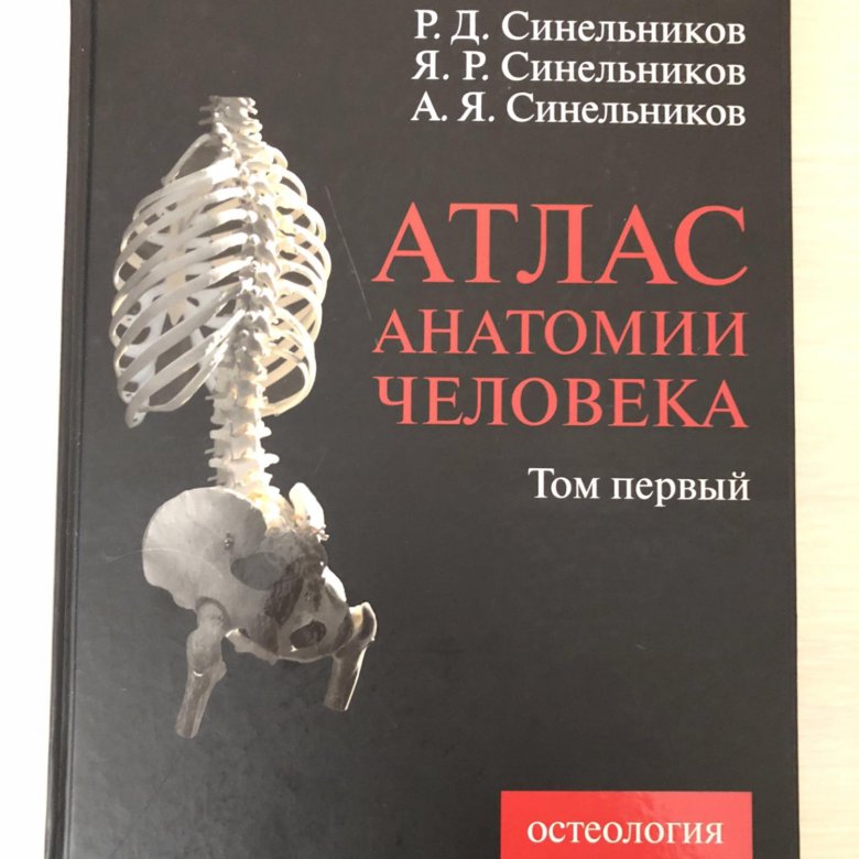 Атлас анатомии человека Синельников в 4-х томах. Атлас анатомии человека р.д Синельникова в 4 томах. Атлас анатомии человека Синельников 1 том. Атлас анатомии Синельников 2 том.