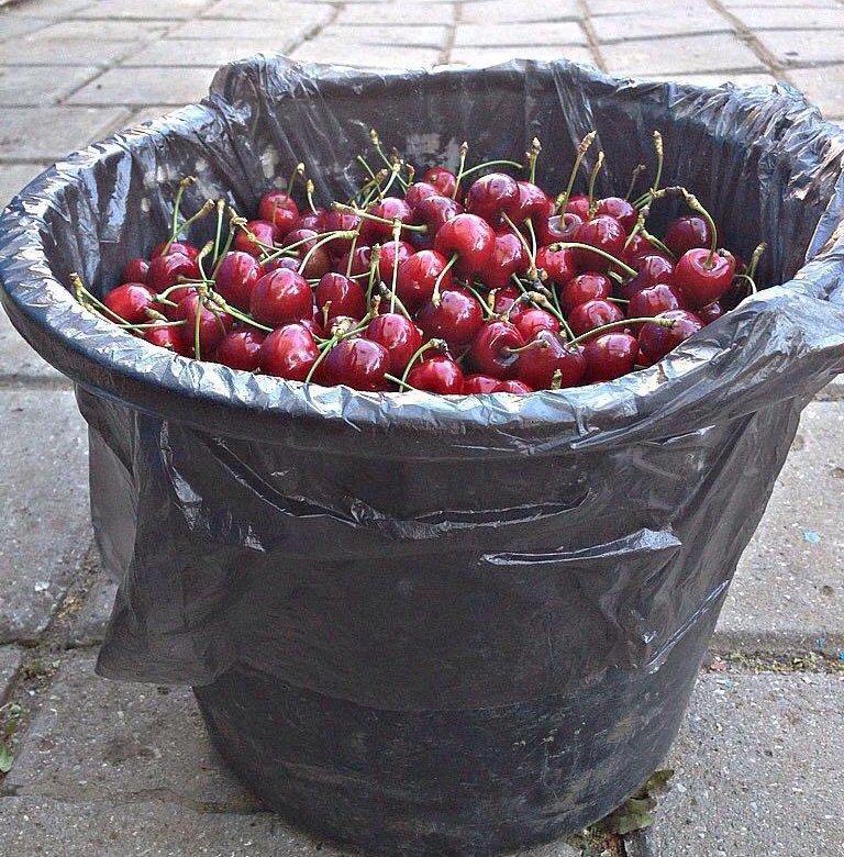 Килограмм вишни. Ведро черешни. Ведерко с вишней. Вишня в ведре. Ведерко с вишней.