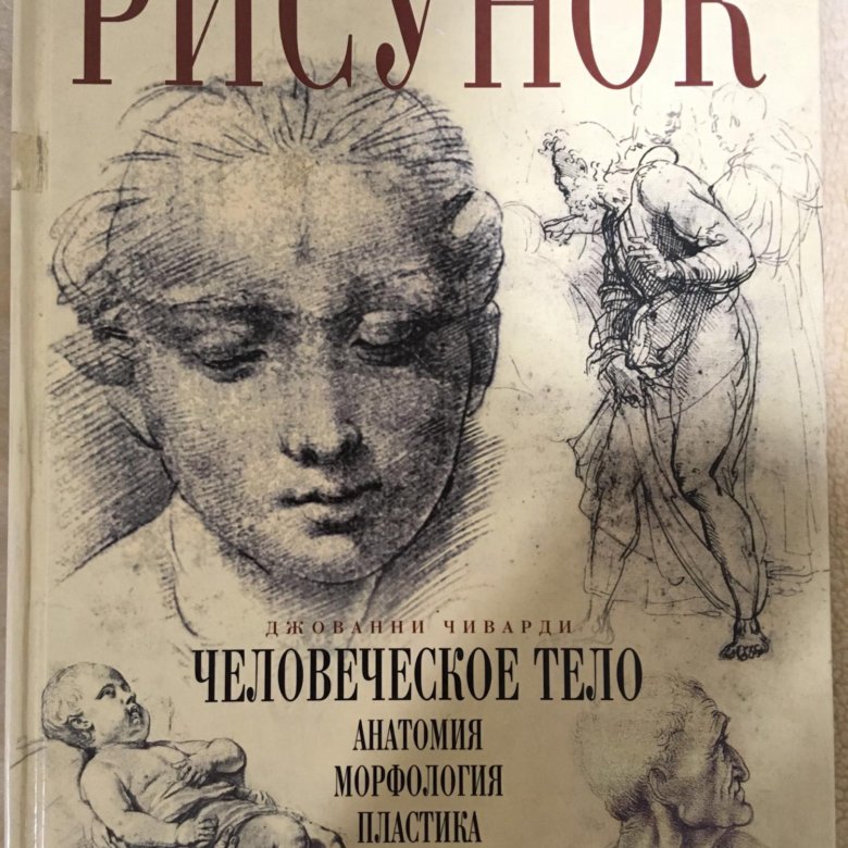 Кокошастра книга картинки