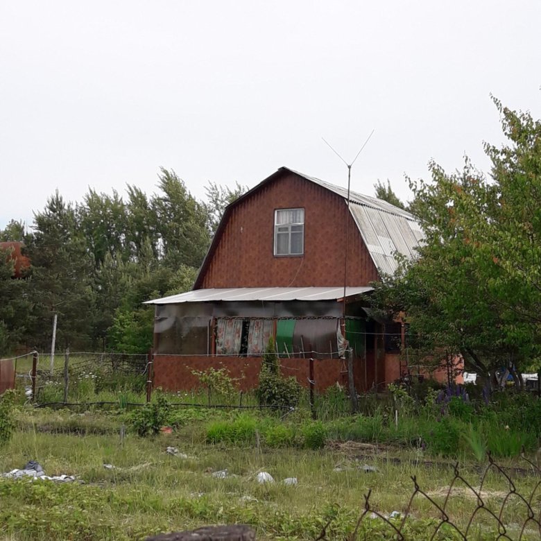 Авито дача воронеже. СНТ сувенир Воронеж. Дачная 66. СНТ сувенир Белгородской области-. Воронеж Дачная 1.