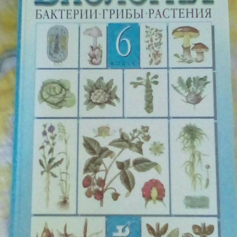 Биология 6 8 класс. Биология 6 класс серый учебник. Учебник биология 6 класс зпния на лето.