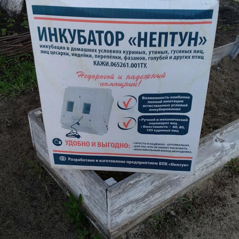 Инкубатор нептун. Купить плату для инкубатора Нептун
