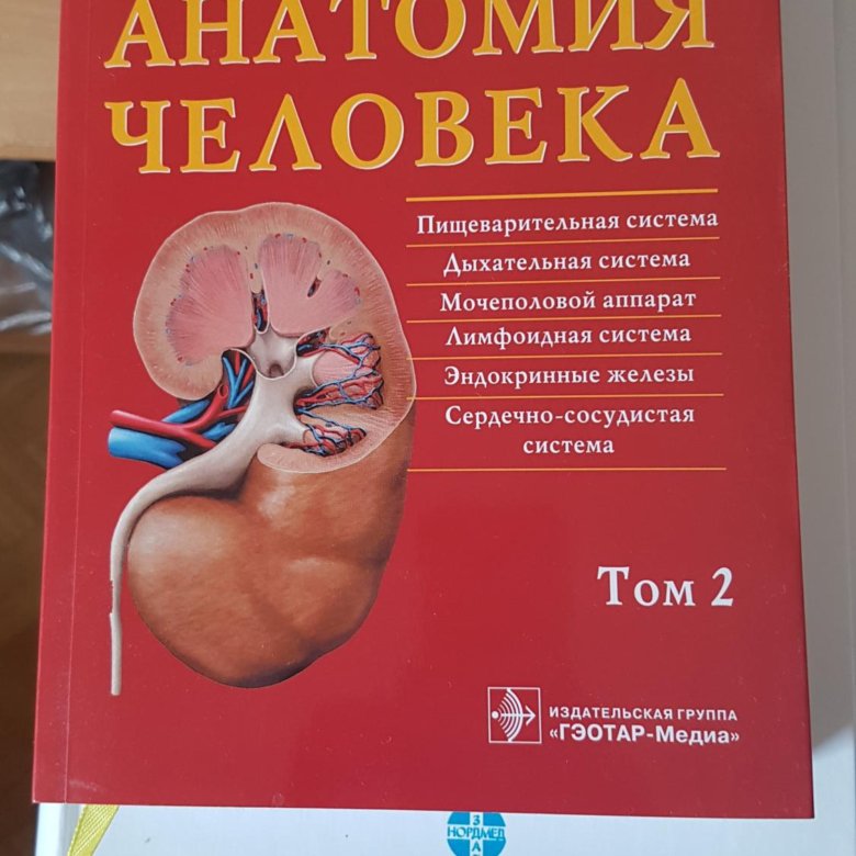 Атлас анатомии человека билич г л. Атлас по анатомии Билич. Анатомия человека Билич.