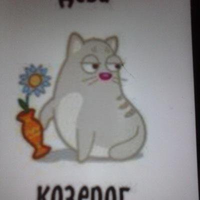 Кот стасик и ленка