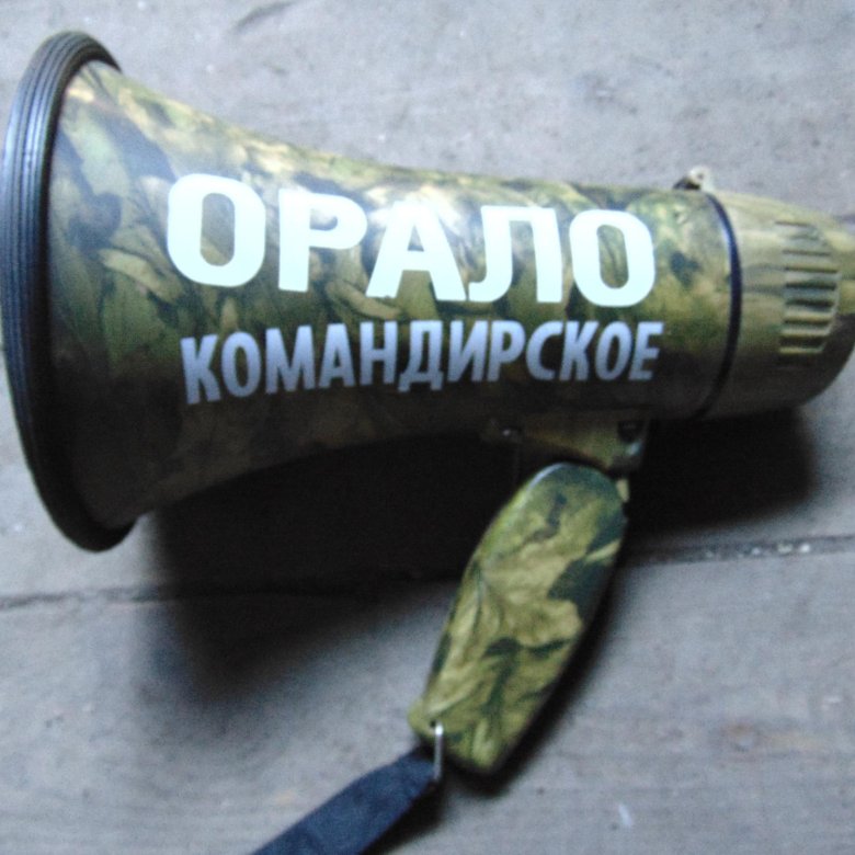 Орало это фото