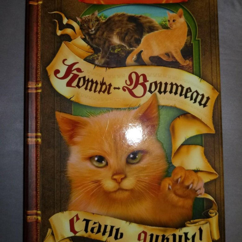 Книги коты воители 2 цикл