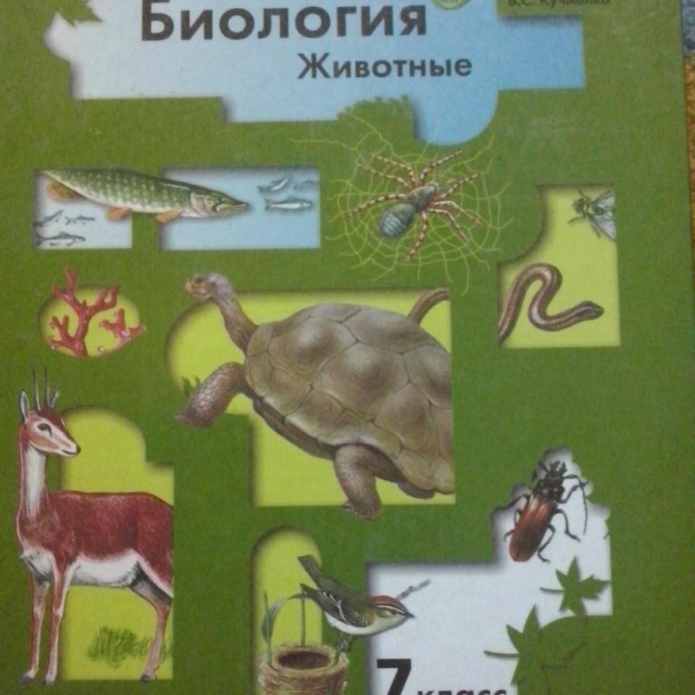 Биология 7 класс картинки. Константинов в.м., Бабенко в.г., Кучменко в.с. биология. Биология 7 класс учебник Бабенко. Учебник биологии Бабенко Кучменко Константинов. В М Константинов в г Бабенко в с Кучменко биология 7.