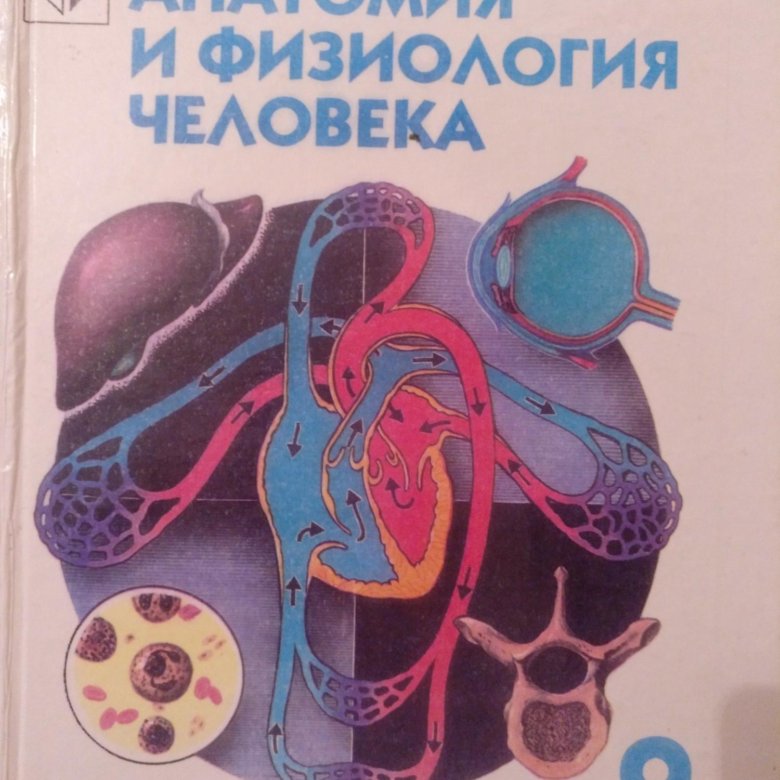 Сапин анатомия человека. Сапин анатомия и физиология человека. Сапин Брыксина анатомия. Сапин Брыксина анатомия человека. М Р Сапин анатомия и физиология человека.