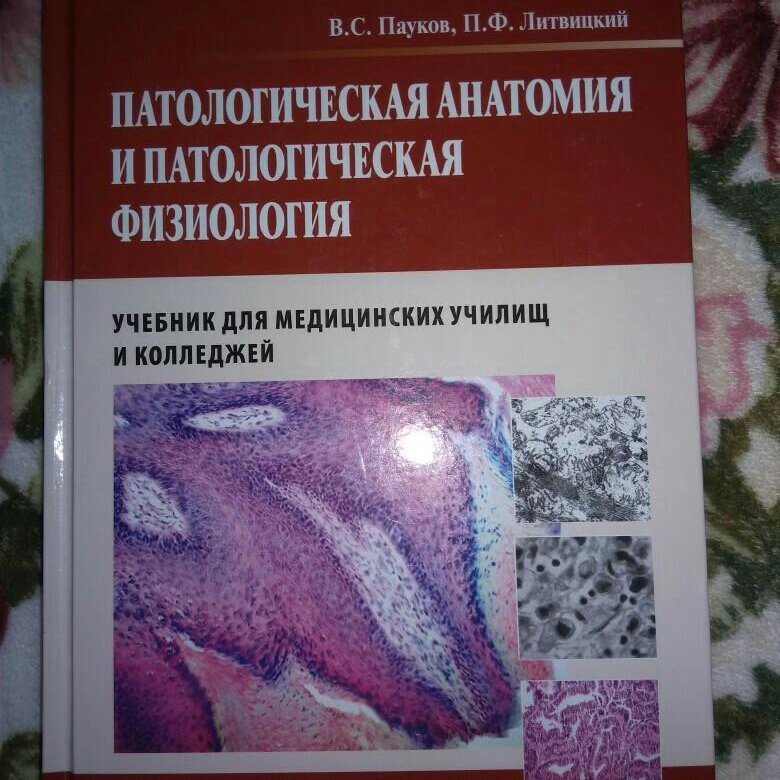 Учебник по патанатомии. Патологическая анатомия пауков Литвицкий. Патологическая анатомия и физиология. Патологическая анатомия и патологическая физиология. Пауков патологическая анатомия.