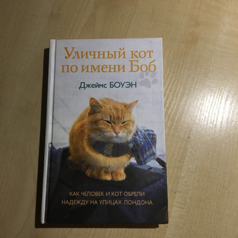 Читать книгу кот боб. Уличный кот по имени Боб. Кот по имени Боб книга. Кот Боб во имя любви.