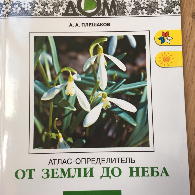 Атлас определитель от земли до неба осы. Атлас-определитель окружающий мир. Атлас определитель от земли до неба. Атлас от земли до неба 4 класс. Атлас определитель растений.