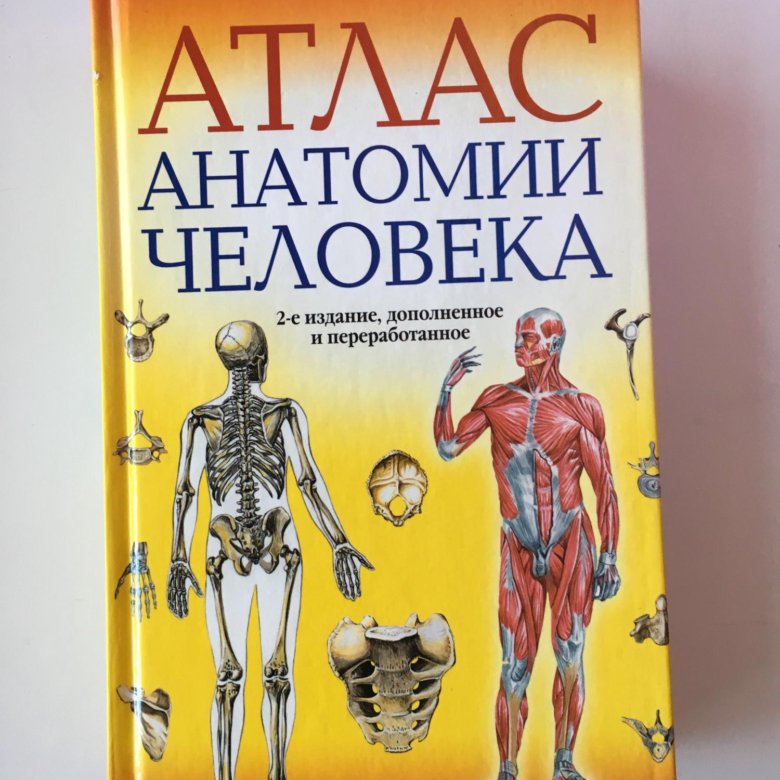 Атлас анатомии человека. Атлас по анатомии человека Марысаев. Селин анатомия человека атлас. Анатомия человека учебник Винсент. Атлас анатомии человека с перекидными прозрачными постерами.