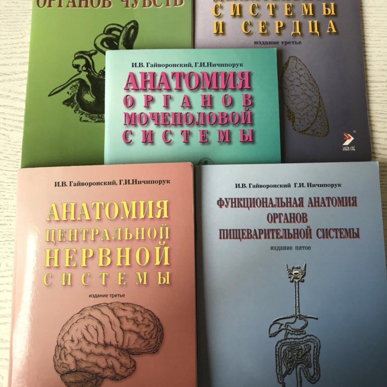 Гайворонский анатомия. Гайворонский функциональная анатомия. Гайворонский анатомия ЦНС. Функциональная анатомия органов чувств Гайворонский. Функциональная анатомия пищеварительной системы Гайворонский.