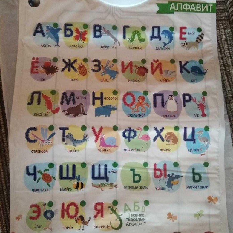 Азбука 83. Развивающая азбука. электронный алфавит. радужный говорящий алфавит. говорящая азбука в пастельных тонах.