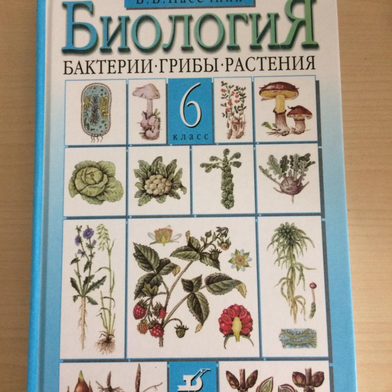 Биология 6 9. Пасечник биология 6. Пасечник биология Вертикаль 6 класс. УМК биология 6 класс Пасечник. Пасечник 6 класс бактерии грибы растения.